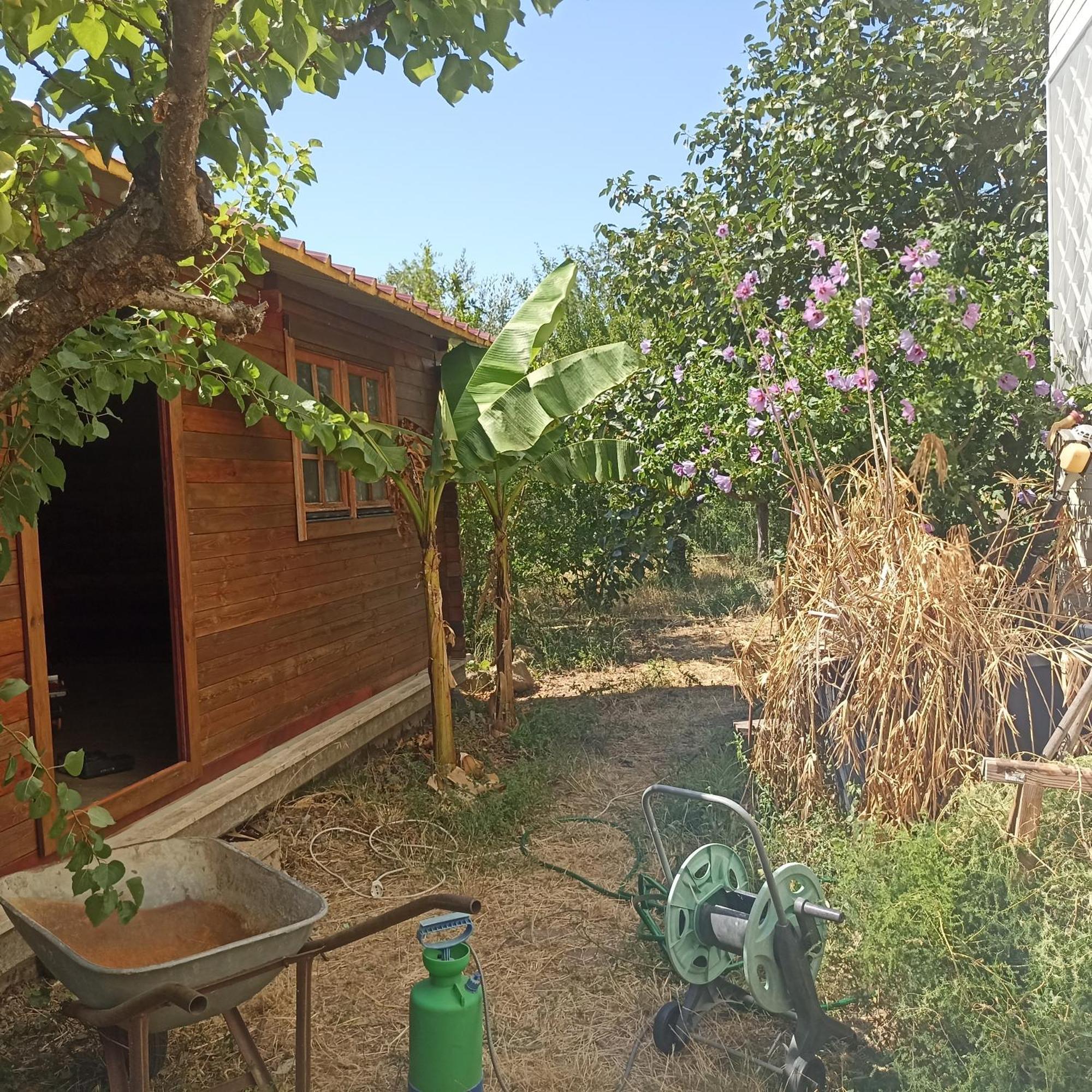 Ripe's Forest Garden Casa de hóspedes